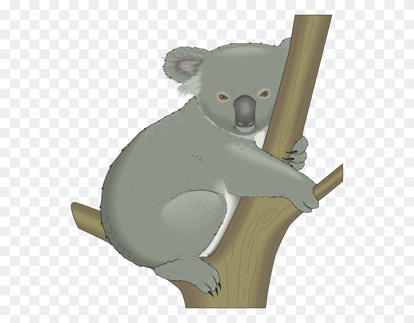 552x596 Koala In Tree Svg Clip Arts 552 X 596 Px, Mammal, Animal, Wildlife HD PNG Download