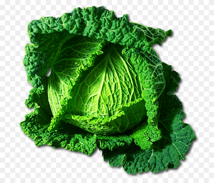 744x720 Kohl Food, Leafy Green Vegetable, Plant, Produce Clipart PNG