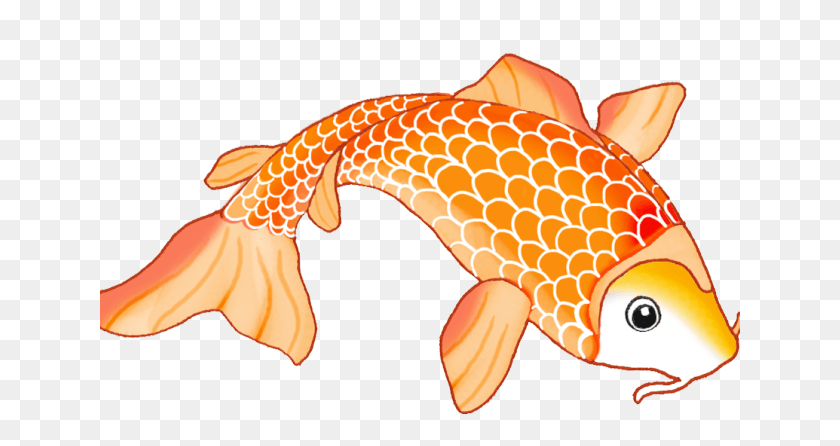641x386 Карп Кои, Рыба, Животные, Рыба, Золотая Рыбка Png Скачать