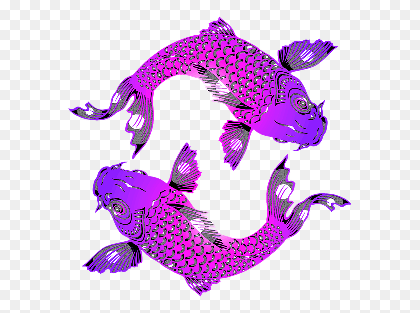 572x566 Карп Кои Рыба Вода Японский Пруд Золотая Рыбка Китайская Рыба Силуэт, Животное, Ящерица, Рептилия Png Скачать