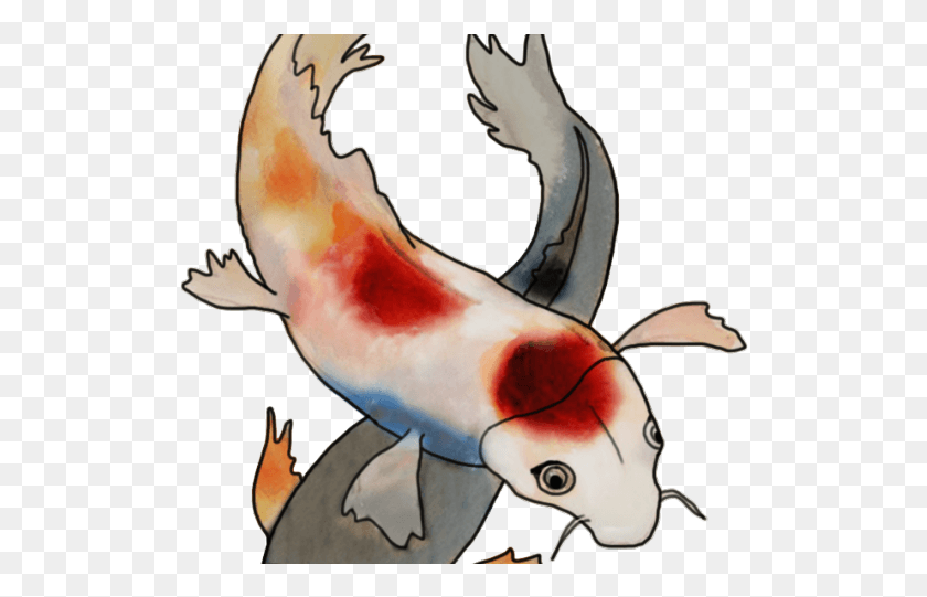 516x481 Koi Fish Clipart Cool Cartoon, Animal, Fish, Carp HD PNG Download