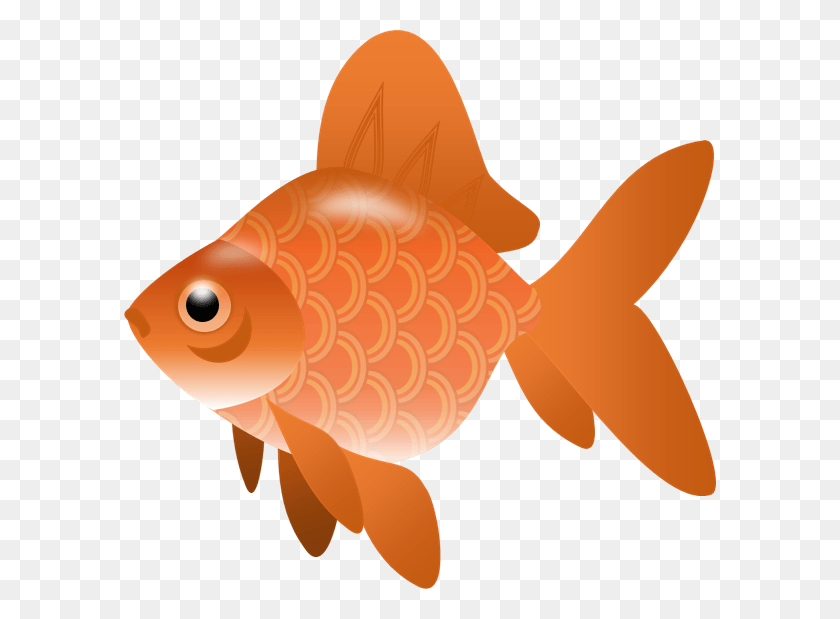 592x559 Koi Fish Clipart Transparent Fish Clipart Transparent, Goldfish, Animal, Toy HD PNG Download