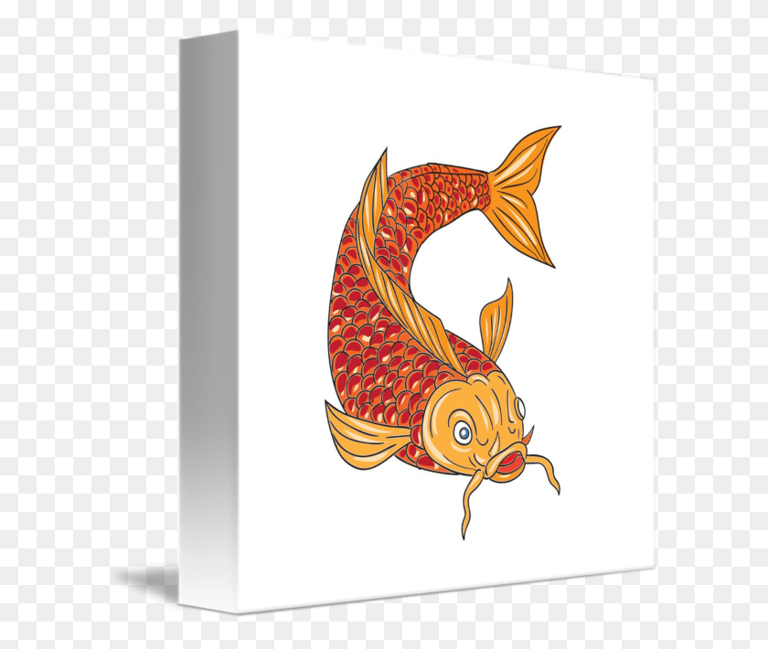 606x650 Koi Nishikigoi Fish Swimming Fish Swimming Drawings, Animal, Bird, Goldfish HD PNG Download