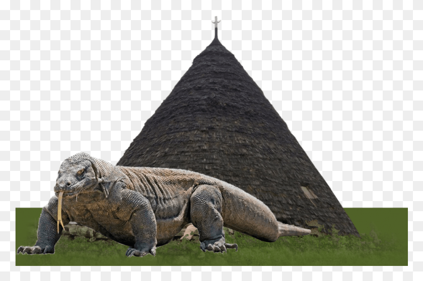 1025x657 La Isla De Komodo Y Flores, Dragón De Komodo, Dinosaurio, Reptil, Animal Hd Png