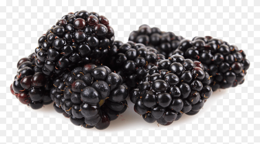 942x490 Kotata Blackberries Marionberry, Plant, Fruit, Food HD PNG Download