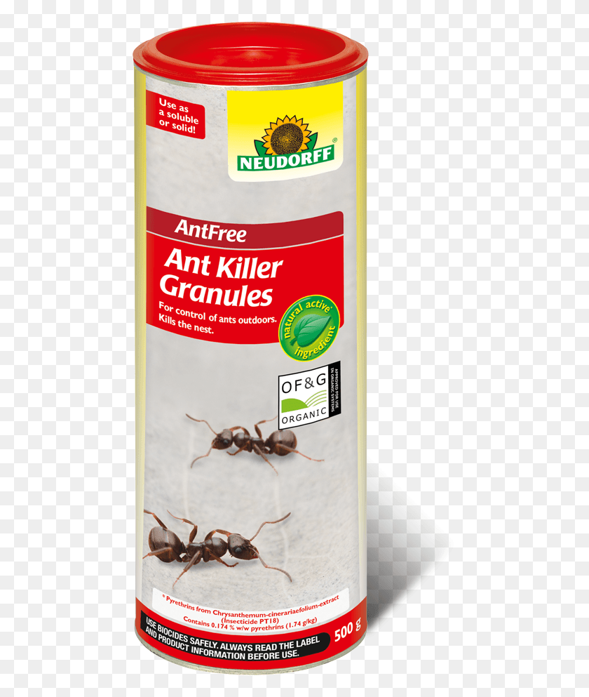 466x933 Krill, Spider, Invertebrate, Animal HD PNG Download