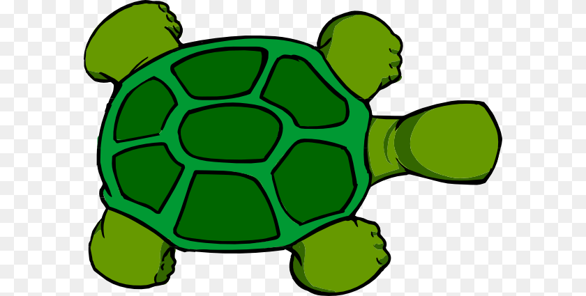 600x425 Kturtle Top View Clip Art, Animal, Tortoise, Sea Life, Reptile Sticker PNG