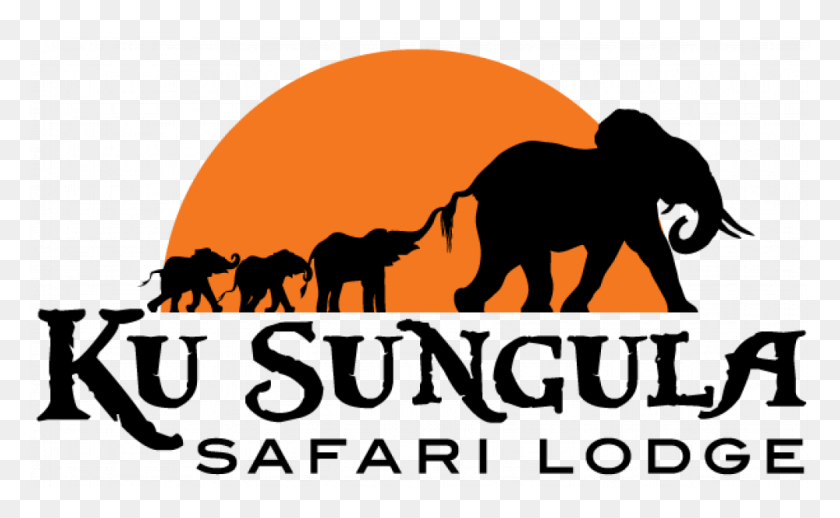 1000x588 Ku Sungula Safari Lodge Flor De Esgueva, Животное, Млекопитающее Hd Png Скачать