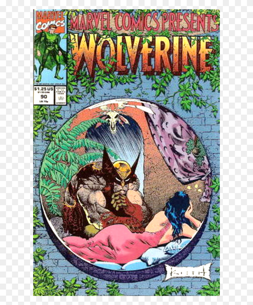 621x951 Descargar Png Kupete Comics 1991 12 Marvel Comics Presenta Wolverine Sam Kieth Wolverine, Libro, Póster Hd Png