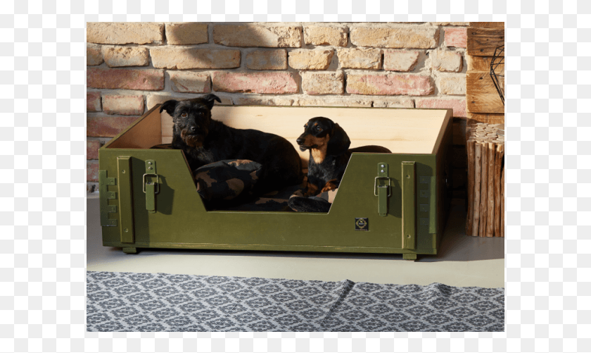 595x441 Kutyafekhely Vagner Llatbtor Rottweiler, Dog, Pet, Canine HD PNG Download