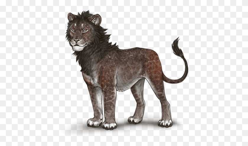 439x434 Kwbl7mx Masai Lion, Mammal, Animal, Wildlife HD PNG Download