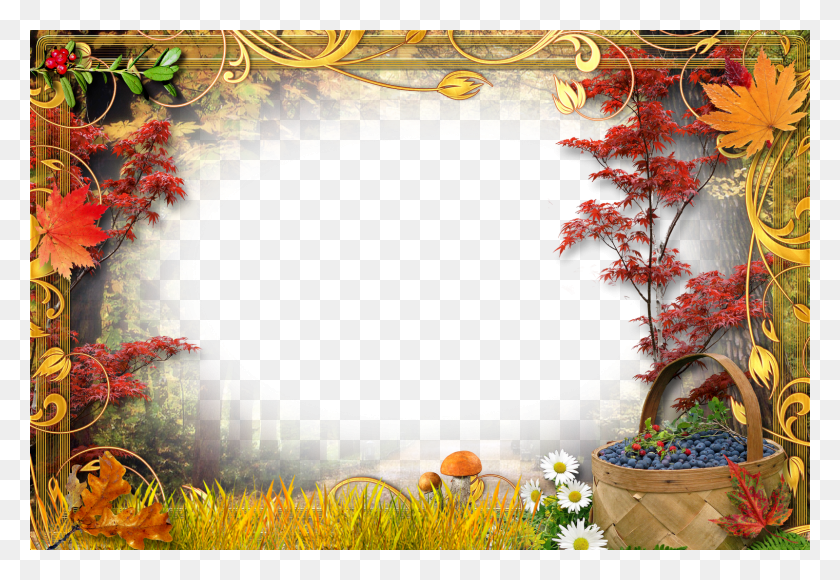 1600x1067 L 2668227304 Beautiful Nature Image Autumn Transparent Photo Frames, Plant, Flower, Blossom HD PNG Download