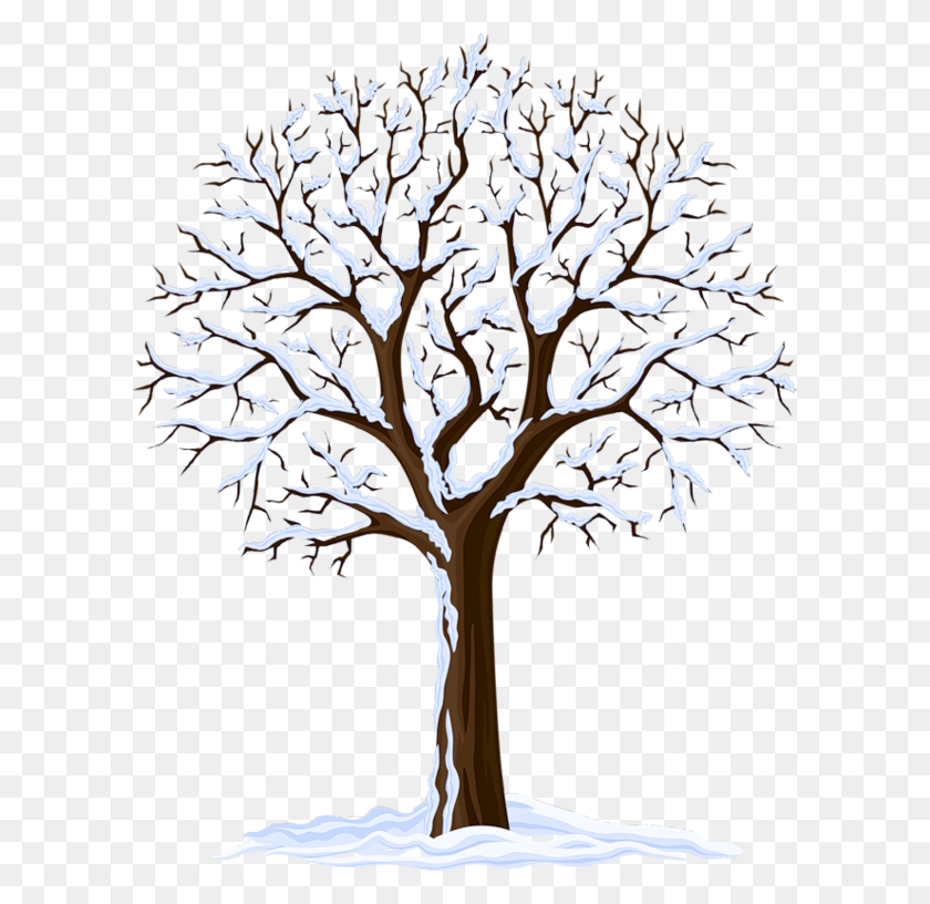 600x756 L Hiver Maternelle, Tree, Plant, Tree Trunk HD PNG Download