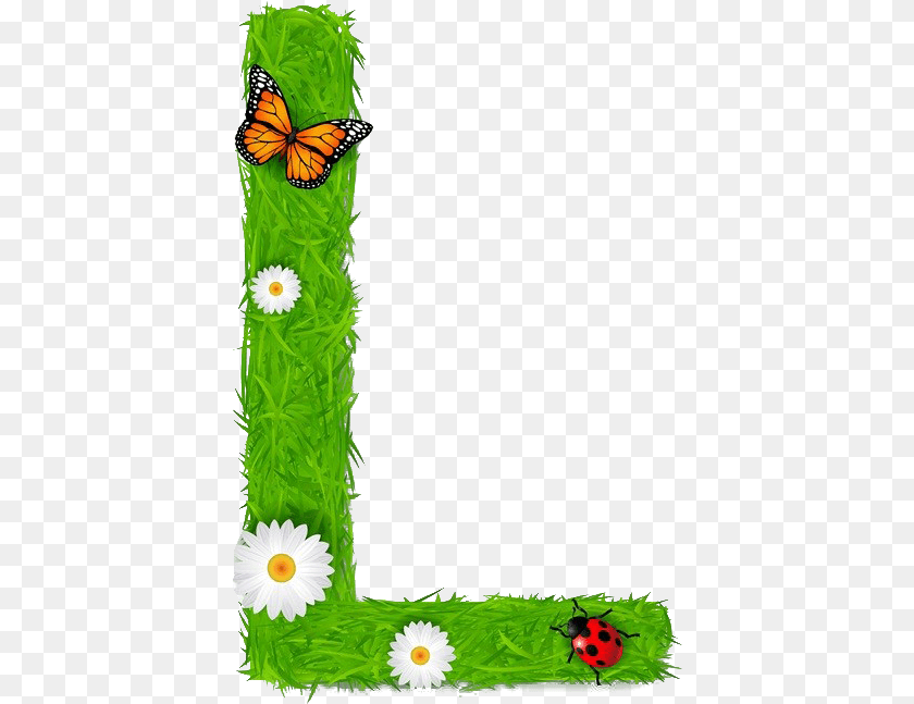 L Letter Pic L Letter Flower, Daisy, Plant, Animal, Insect Transparent PNG