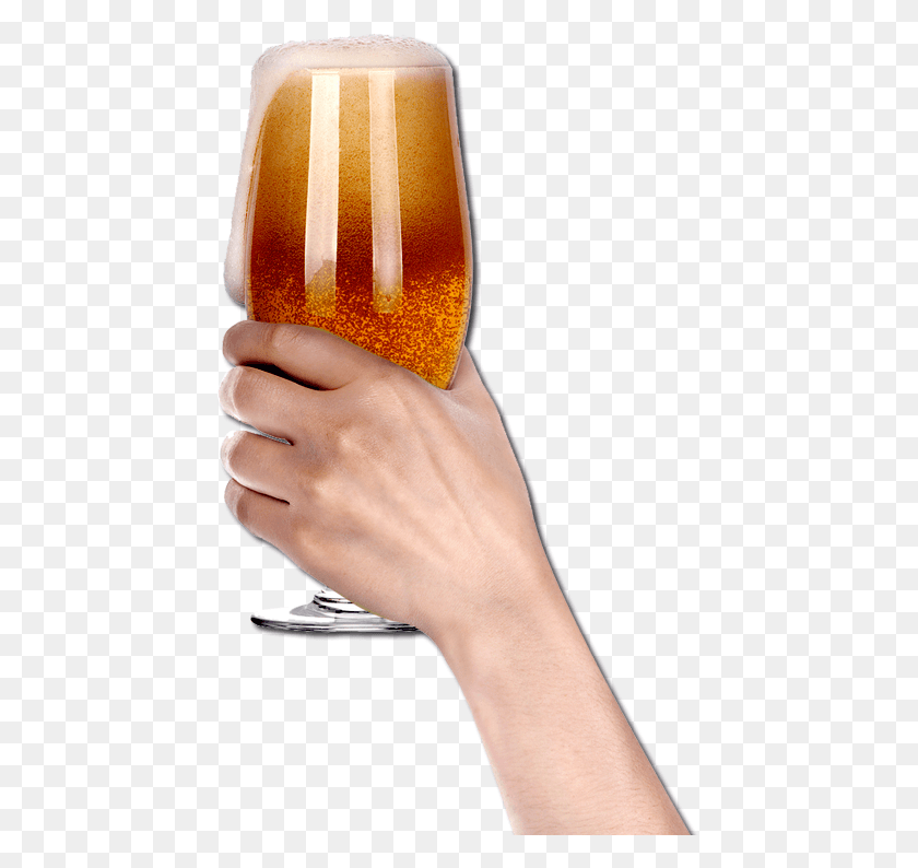 441x734 La Cerveza Contiene Lpulo Como Uno De Sus Ingredientes Пиво В Руке, Человек, Человек, Еда Png Скачать