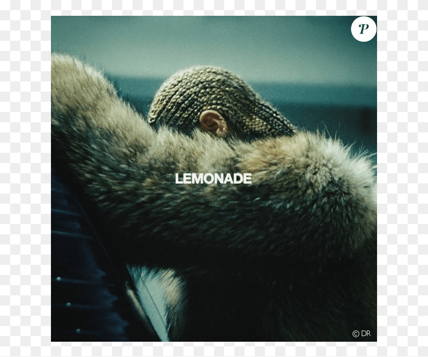 641x641 La Pochette Du Nouvel Album De Beyonc Ampquot Lemonade Beyonce, Outdoors, Animal, Bird HD PNG Download