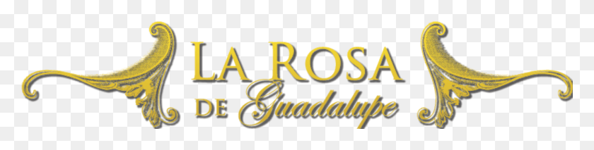 1281x252 Descargar Png La Rosa De Guadalupe Netflix Cocodrilo, Texto, Alfabeto, Etiqueta Hd Png