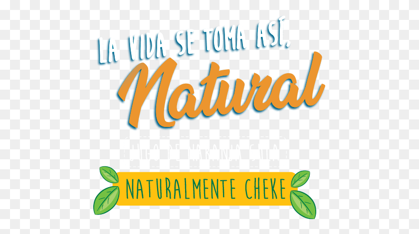 467x410 La Vida Se Toma As Natural Jugo De Naranja Sula Slogan Para Jugos Naturales, Advertisement, Poster, Text HD PNG Download