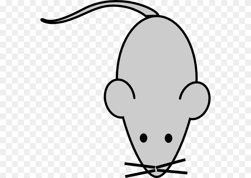 570x597 Lab Mouse Clip Arts, Animal, Mammal, Rat, Rodent Clipart PNG