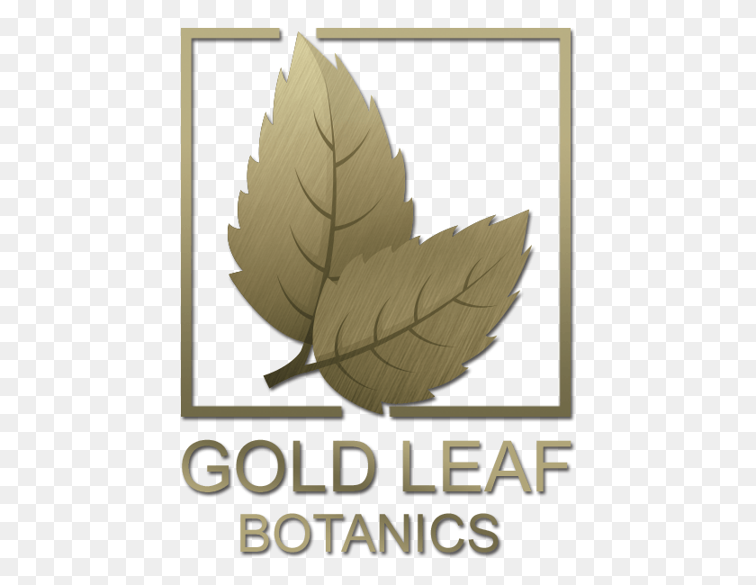 Label, Leaf, Plant, Poster HD PNG Download