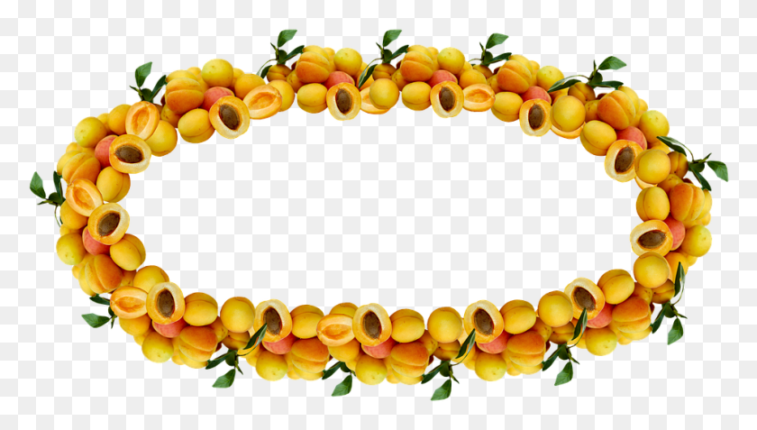 944x505 Label Apricot Preserves Jam Border Circle, Plant, Fruit, Produce HD PNG Download