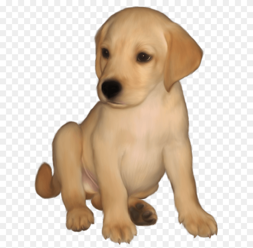 Labrador Cliparts, Animal, Canine, Dog, Mammal Clipart PNG