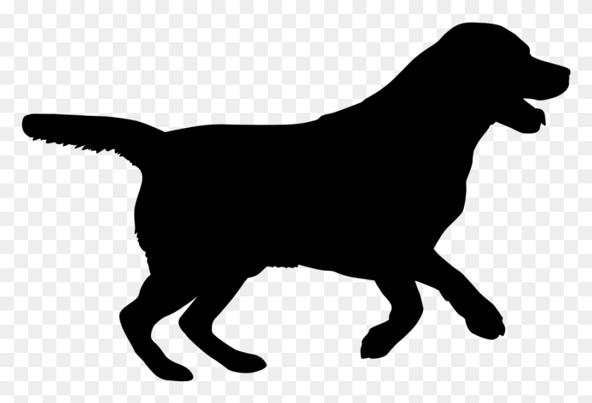 873x572 Labrador Retriever Puppy Silhouette Dog Breed Cat Puppy Silhouette, Gray, World Of Warcraft HD PNG Download