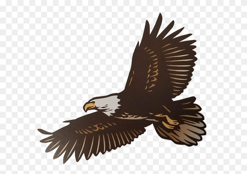 588x531 Lacrosse Eagle Adult 2017 12 18 Golden Eagle, Bird, Animal, Kite Bird HD PNG Download