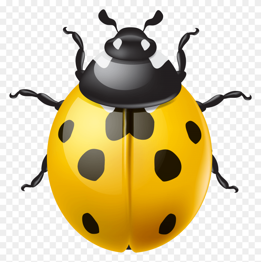 6877x6916 Ladybug HD PNG Download
