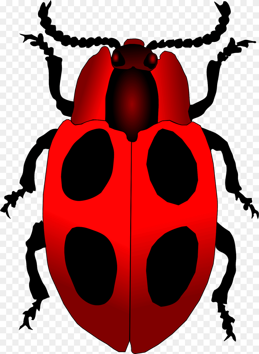 1406x1920 Ladybug Animal, Person Clipart PNG