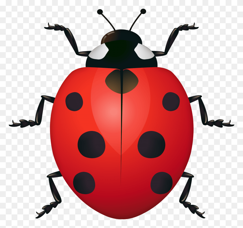 7875x7340 Ladybug Clipart Image HD PNG Download