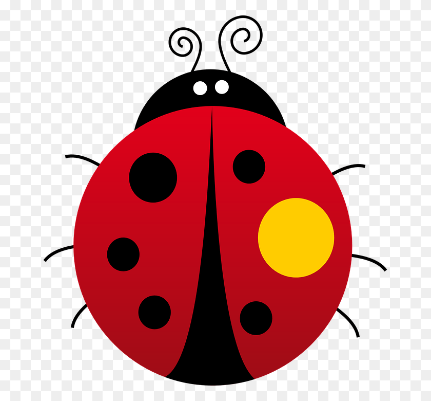 671x720 Ladybug Clipart Kumbang Gambar Animasi Kumbang Kepik, Tazón, Planta, Texto Hd Png