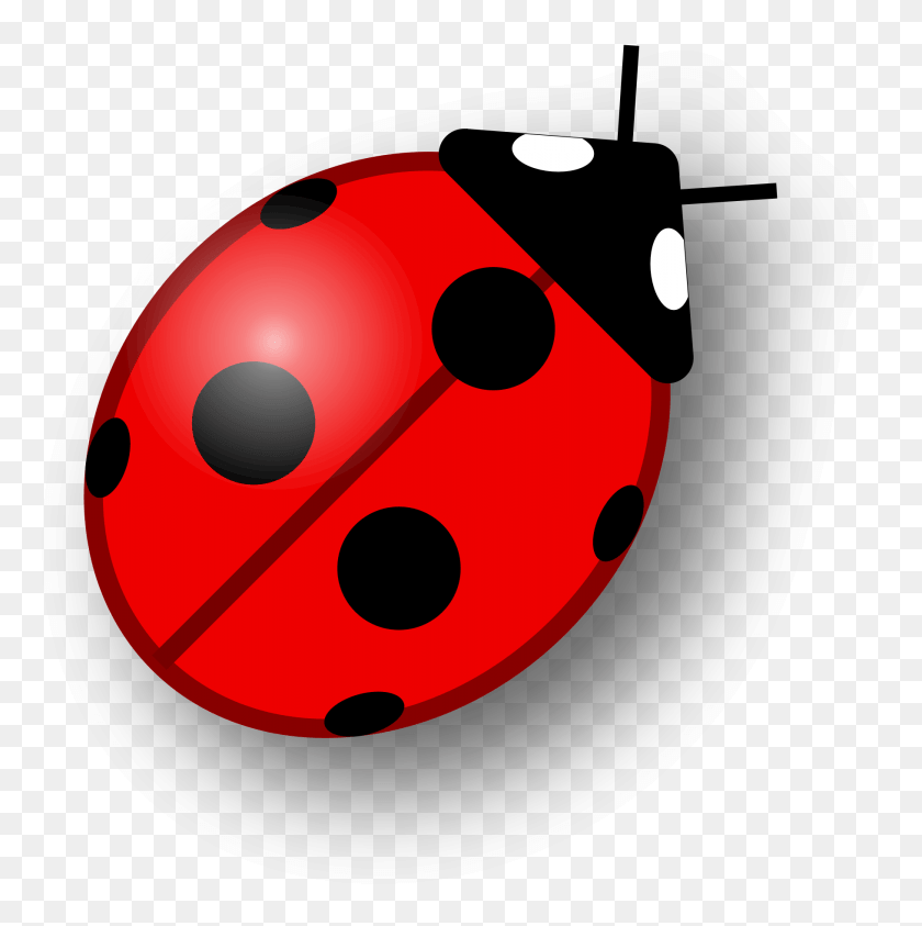 1818x1827 Ladybug Wonderful Picture Images Ladybird, Sphere, Ball, Bomb HD PNG Download