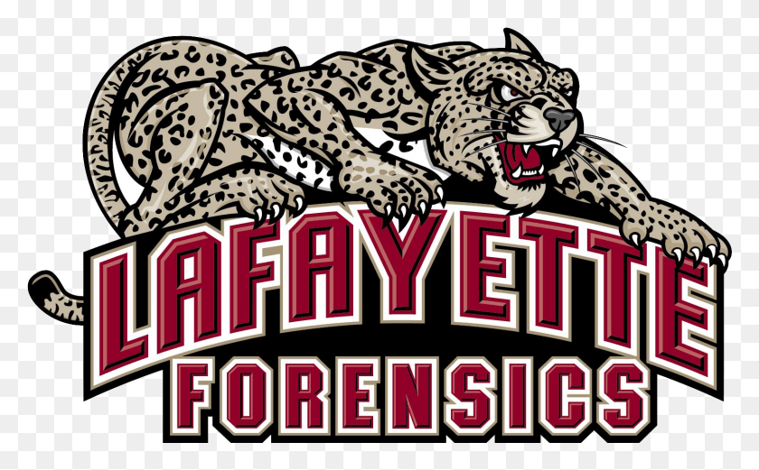 1623x960 Lafayette Forensics Society Wins Titles At Clarion Lafayette College, Panther, Wildlife, Mammal HD PNG Download