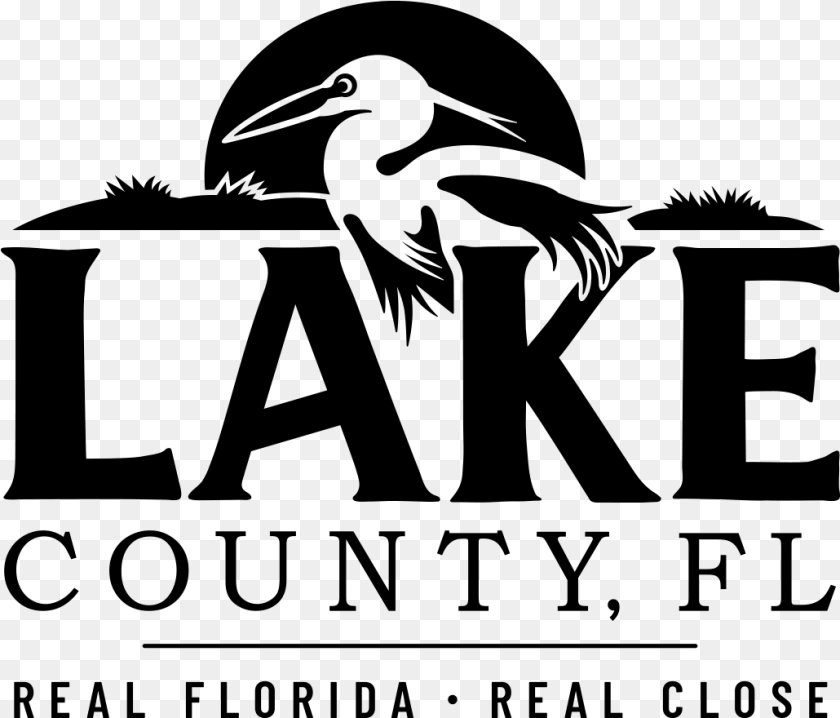 1030x880 Lake County Fl Pelican, Gray Clipart PNG