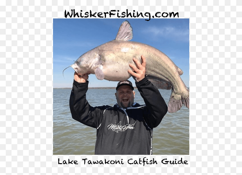 474x547 Lake Tawakoni Fishing Guide Pull Fish Out Of Water, Person, Human, Animal HD PNG Download