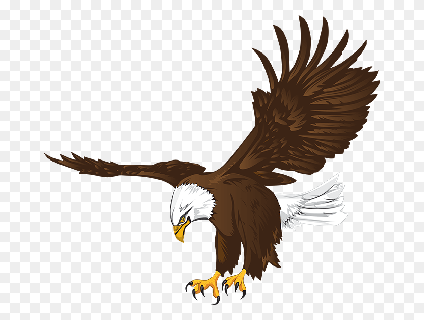 666x574 Lakes Community High School, Eagle, Bird, Animal HD PNG Download