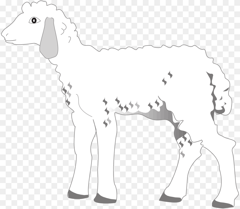 1920x1670 Lamb Livestock, Animal, Mammal, Face Clipart PNG