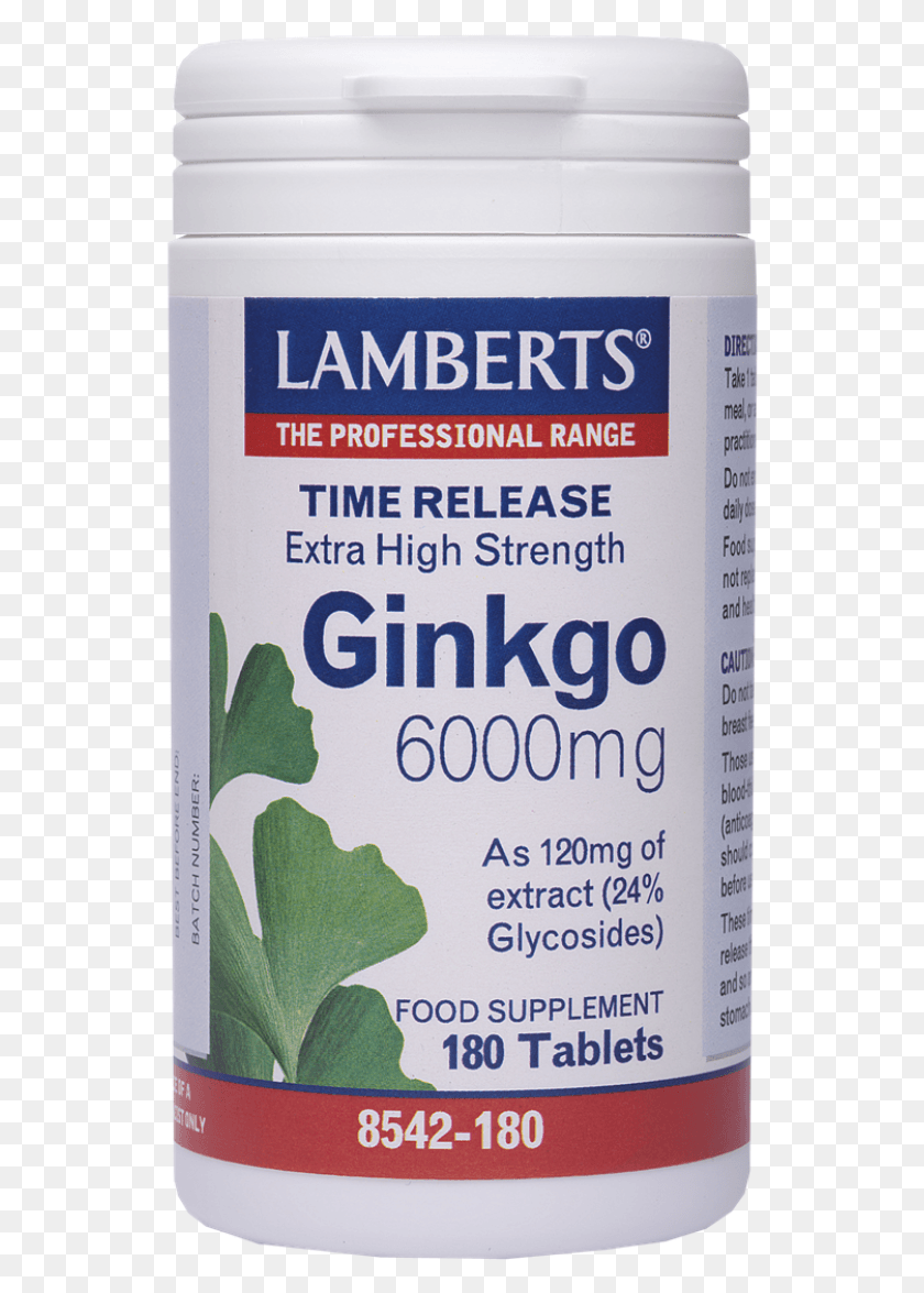 538x1115 Lamberts Ginkgo Biloba Extract 6000mg 180tabs Ginkgo Biloba Lamberts, Bottle, Food, Tin HD PNG Download