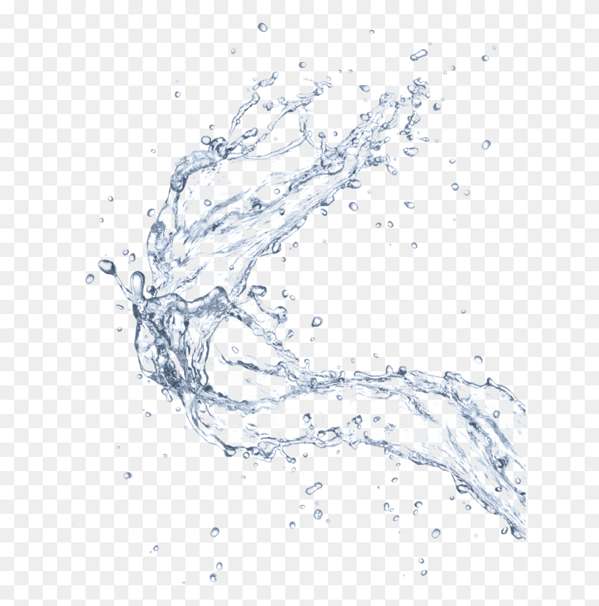 635x789 Lamigo Laman Truly Madly Guilty, Droplet, Water, Plant HD PNG Download