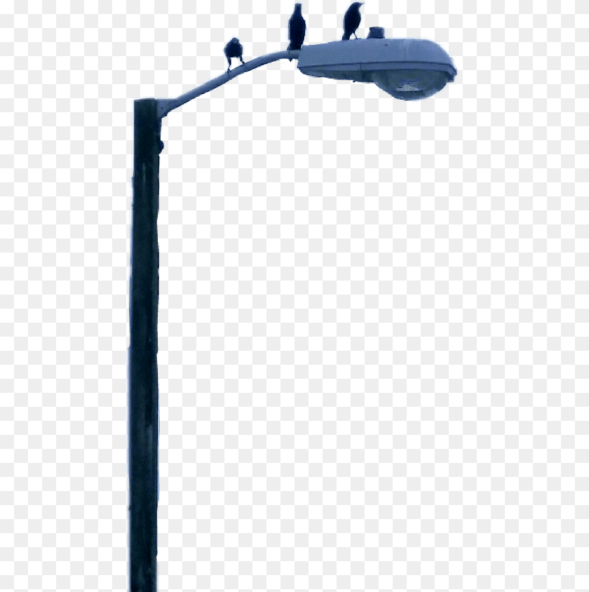 480x844 Lamppost Freetoedit Street Light, Lamp Post, Animal, Bird PNG