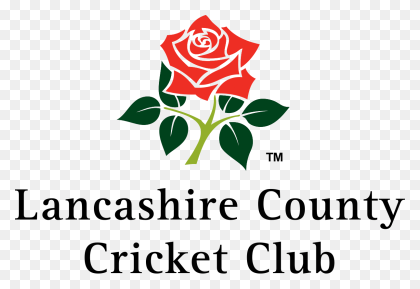 1200x798 Lancashire Cricket Club, Rose, Flower, Plant HD PNG Download