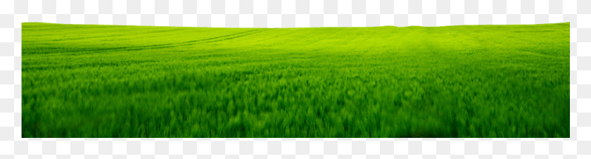 1281x274 Land Green Land Images, Field, Nature, Outdoors HD PNG Download