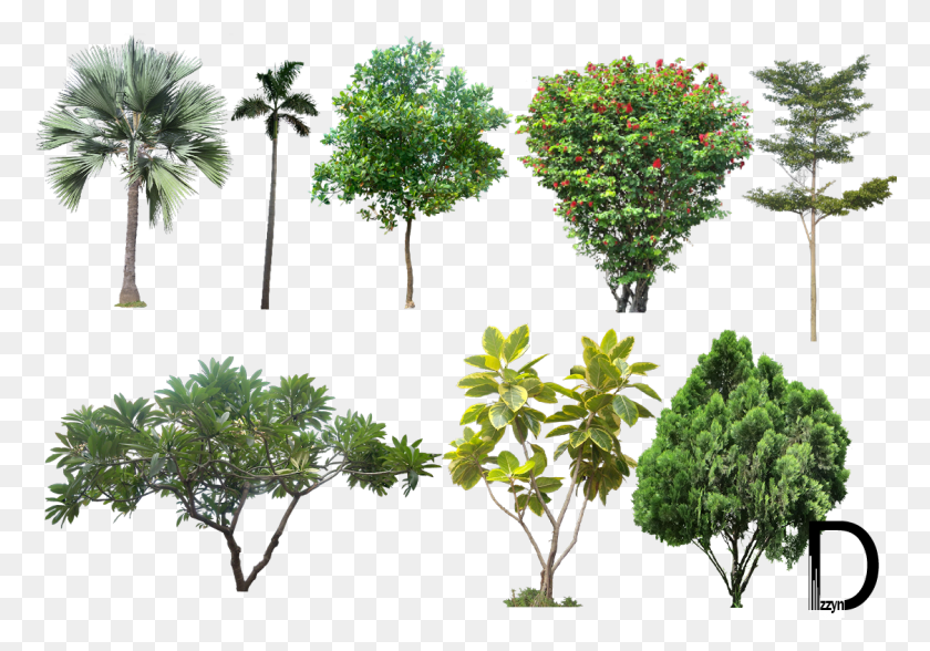 1124x761 Landscape Photos Trees For Photoshop High Resolution, Vegetation, Plant, Tree HD PNG Download