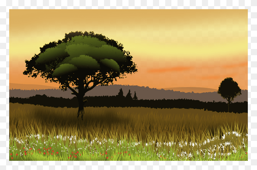 960x610 Landscape Trees Eventide Sky Prairie Field Green Landschaft, Nature, Outdoors, Grassland HD PNG Download