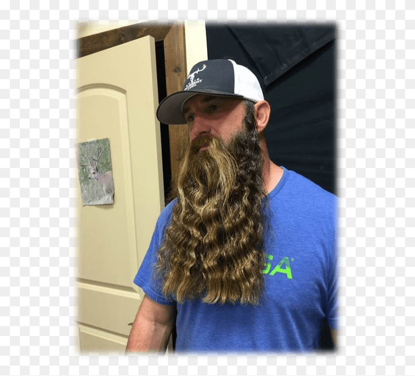 561x701 Langen Bart Stile Um Spice Up Your Style Very Long Beard Styles, Face, Person, Human HD PNG Download