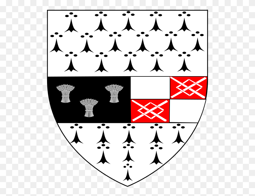 533x586 Laois Kilkenny County Council Crest, Armor, Shield, Rug HD PNG Download