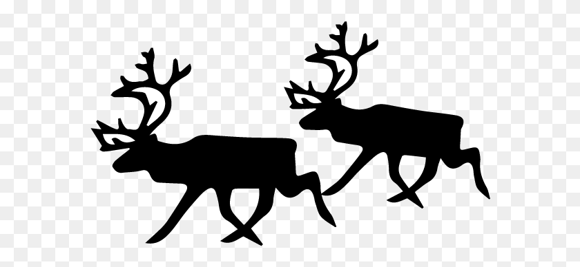 580x328 Lapland Activities Reindeer Reindeer Clip Art Black And White, Moon, Outer Space, Night HD PNG Download