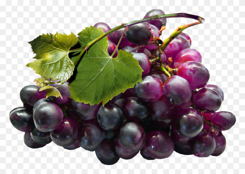 801x552 Large Black Grapes Clipart Black Grapes, Plant, Fruit, Food HD PNG Download