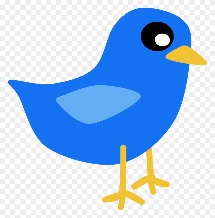 2167x2204 Large Blue Bird Cartoon Clipart M 1434276645 Bird No Background Clipart, Nature, Outdoors, Animal HD PNG Download